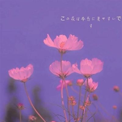 塔塔星座海豹手游下载