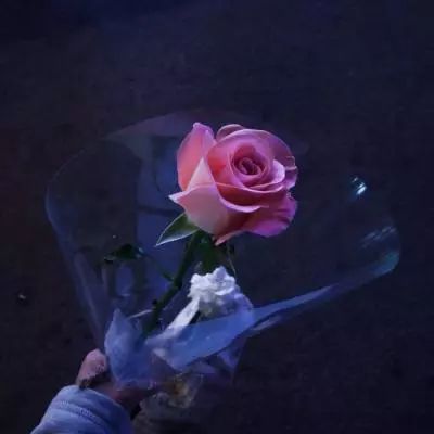 混沌与秩序online手游下载